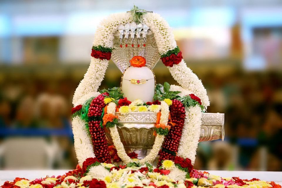 Rudrabhishek offered on the Shiva Lingam
